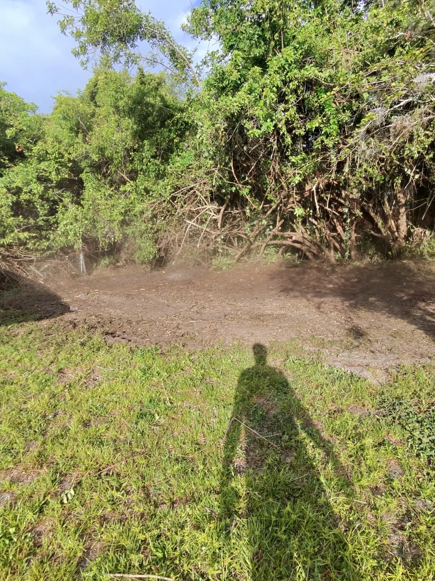 Dirt driveway cut and shaped beside a Florida home