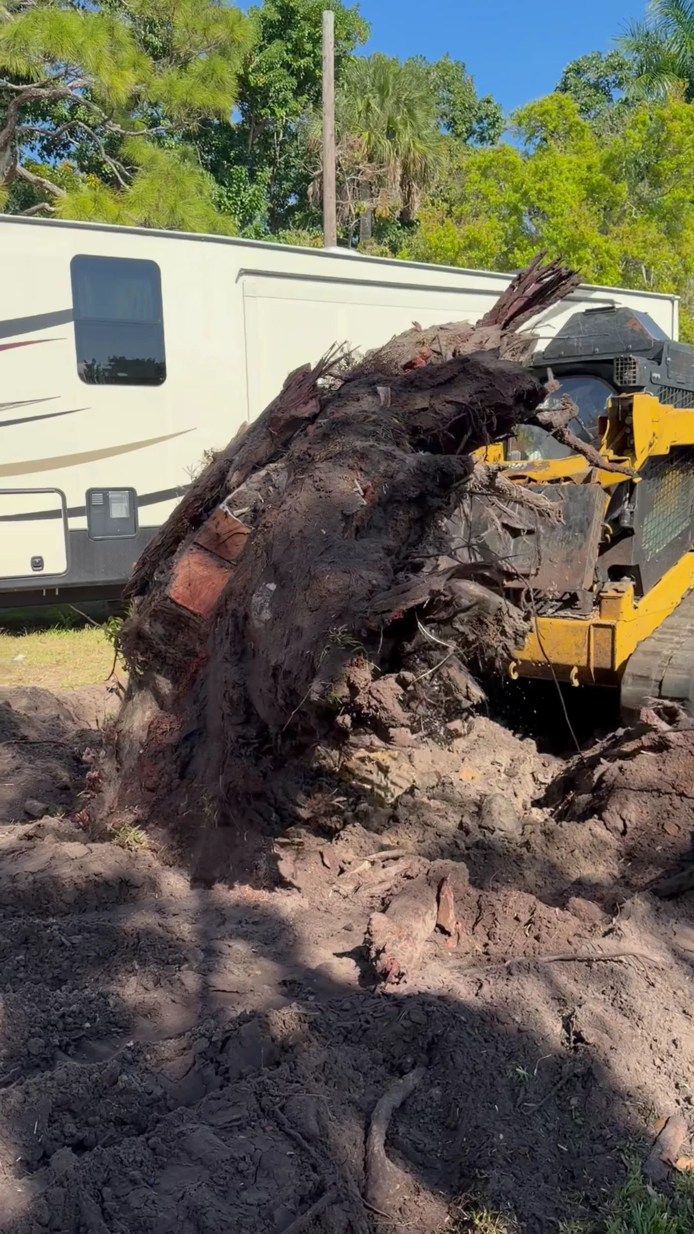 Grapple lifting a pulled stump and root mass